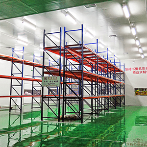 What weight of goods can Guangdong heavy-duty racks carry